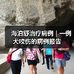 海泊舒治疗病例 | 一例犬咬伤的病例报告(图4) 海泊舒治疗病例 | 一例犬咬伤的病例报告(图4)