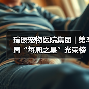 瑞辰宠物医院集团 | 第3周“每周之星”光荣榜(图3) 瑞辰宠物医院集团 | 第3周“每周之星”光荣榜(图3)