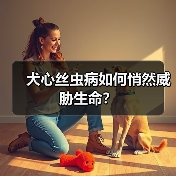 犬心丝虫病如何悄然威胁生命?(图3) 犬心丝虫病如何悄然威胁生命?(图3)