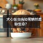 犬心丝虫病如何悄然威胁生命?(图4) 犬心丝虫病如何悄然威胁生命?(图4)