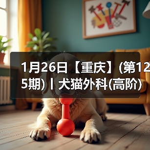 1月26日【重庆】(第125期)丨犬猫外科(高阶)班!含SUB(人人可实操)、乳糜胸等技术!(图1) 1月26日【重庆】(第125期)丨犬猫外科(高阶)班!含SUB(人人可实操)、乳糜胸等技术!(图1)