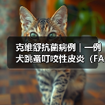 克维舒抗菌病例 | 一例犬跳蚤叮咬性皮炎(FAD)的病例分析(图1) 克维舒抗菌病例 | 一例犬跳蚤叮咬性皮炎(FAD)的病例分析(图1)
