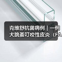 克维舒抗菌病例 | 一例犬跳蚤叮咬性皮炎(FAD)的病例分析(图4) 克维舒抗菌病例 | 一例犬跳蚤叮咬性皮炎(FAD)的病例分析(图4)