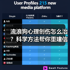 流浪狗心理创伤怎么治？科学方法帮你重建信任