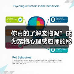 你真的了解宠物吗？成为宠物心理感应师的秘诀