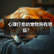 心理疗愈的宠物狗有哪些？(图3)