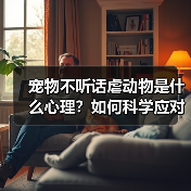 宠物不听话虐动物是什么心理？如何科学应对(图2)