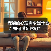 宠物的心理需求是什么?如何满足它们?(图1) 宠物的心理需求是什么?如何满足它们?(图1)