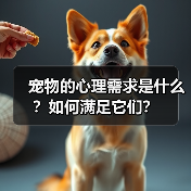 宠物的心理需求是什么?如何满足它们?(图3) 宠物的心理需求是什么?如何满足它们?(图3)