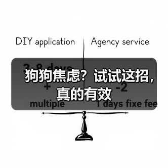 狗狗焦虑?试试这招,真的有效(图1) 狗狗焦虑?试试这招,真的有效(图1)