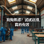 狗狗焦虑?试试这招,真的有效(图4) 狗狗焦虑?试试这招,真的有效(图4)