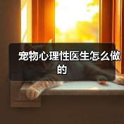 宠物心理性医生怎么做的(图2) 宠物心理性医生怎么做的(图2)