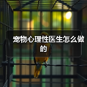 宠物心理性医生怎么做的(图4) 宠物心理性医生怎么做的(图4)