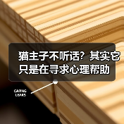 猫主子不听话？其实它只是在寻求心理帮助(图3)