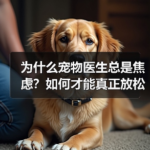 为什么宠物医生总是焦虑?如何才能真正放松?(图3) 为什么宠物医生总是焦虑?如何才能真正放松?(图3)