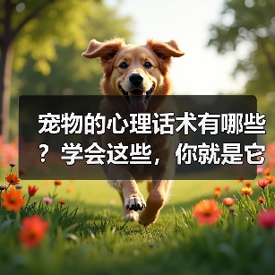 宠物的心理话术有哪些?学会这些,你就是它们的“心灵导师”(图4) 宠物的心理话术有哪些?学会这些,你就是它们的“心灵导师”(图4)