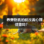 养宠物真的能改善心理健康吗？
