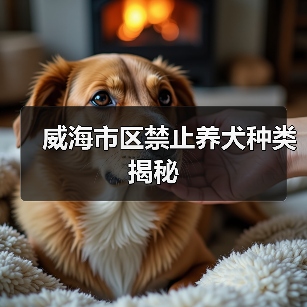 威海市区禁止养犬种类揭秘(图2)