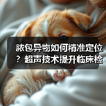 脓包异物如何精准定位?超声技术提升临床检出率(图2) 脓包异物如何精准定位?超声技术提升临床检出率(图2)