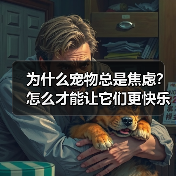 为什么宠物总是焦虑?怎么才能让它们更快乐?(图1) 为什么宠物总是焦虑?怎么才能让它们更快乐?(图1)