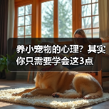 养小宠物的心理？其实你只需要学会这3点