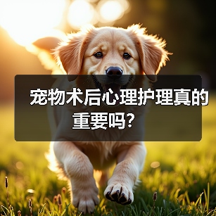 宠物术后心理护理真的重要吗?(图4) 宠物术后心理护理真的重要吗?(图4)