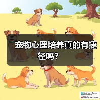 宠物心理培养真的有捷径吗？