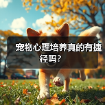 宠物心理培养真的有捷径吗?(图2) 宠物心理培养真的有捷径吗?(图2)