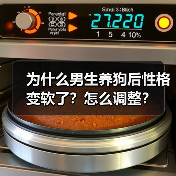 为什么男生养狗后性格变软了?怎么调整?(图1) 为什么男生养狗后性格变软了?怎么调整?(图1)