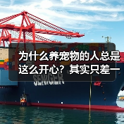 为什么养宠物的人总是这么开心？其实只差一个心态