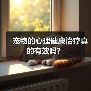 宠物的心理健康治疗真的有效吗?(图3) 宠物的心理健康治疗真的有效吗?(图3)