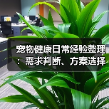 宠物健康日常经验整理:需求判断、方案选择与避坑建议(图3) 宠物健康日常经验整理:需求判断、方案选择与避坑建议(图3)
