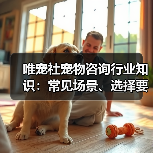 唯宠社宠物咨询行业知识:常见场景、选择要点与注意事项(图1) 唯宠社宠物咨询行业知识:常见场景、选择要点与注意事项(图1)