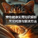 宠物健康实用知识解析：常见问题与解决方法全攻略