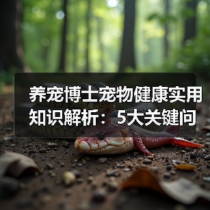 养宠博士宠物健康实用知识解析:5大关键问题与处理方法(图1) 养宠博士宠物健康实用知识解析:5大关键问题与处理方法(图1)