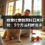 唯宠社宠物百科日常经验:5个方法判断需求与维护(图1) 唯宠社宠物百科日常经验:5个方法判断需求与维护(图1)