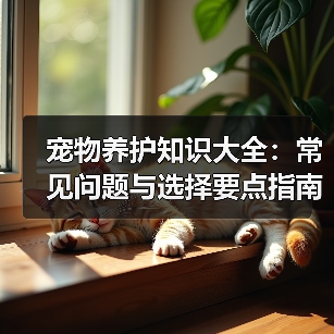 宠物养护知识大全：常见问题与选择要点指南