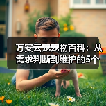 万安云宠宠物百科:从需求判断到维护的5个实用方法(图2) 万安云宠宠物百科:从需求判断到维护的5个实用方法(图2)