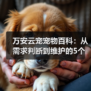 万安云宠宠物百科:从需求判断到维护的5个实用方法(图1) 万安云宠宠物百科:从需求判断到维护的5个实用方法(图1)