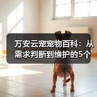 万安云宠宠物百科:从需求判断到维护的5个实用方法(图3) 万安云宠宠物百科:从需求判断到维护的5个实用方法(图3)