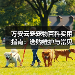 万安云宠宠物百科实用指南:选购维护与常见问题解析(图1) 万安云宠宠物百科实用指南:选购维护与常见问题解析(图1)