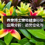 养宠博士宠物健康行业应用分析:趋势变化与实用方法(图3) 养宠博士宠物健康行业应用分析:趋势变化与实用方法(图3)