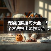 宠物拍照技巧大全:5个方法拍出宠物大片(2026推荐)(图2) 宠物拍照技巧大全:5个方法拍出宠物大片(2026推荐)(图2)