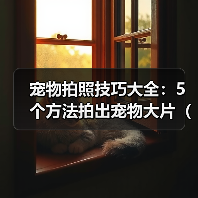 宠物拍照技巧大全:5个方法拍出宠物大片(2026推荐)(图3) 宠物拍照技巧大全:5个方法拍出宠物大片(2026推荐)(图3)