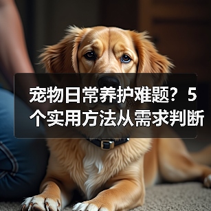 宠物日常养护难题？5个实用方法从需求判断到使用维护