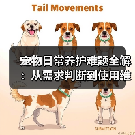 宠物日常养护难题全解:从需求判断到使用维护的实用经验(图3) 宠物日常养护难题全解:从需求判断到使用维护的实用经验(图3)