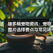 趣多格宠物资讯:宠物图片选择要点与常见场景指南(图2) 趣多格宠物资讯:宠物图片选择要点与常见场景指南(图2)