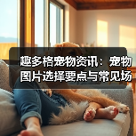 趣多格宠物资讯:宠物图片选择要点与常见场景指南(图4) 趣多格宠物资讯:宠物图片选择要点与常见场景指南(图4)