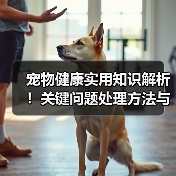 宠物健康实用知识解析!关键问题处理方法与维护要点(图1) 宠物健康实用知识解析!关键问题处理方法与维护要点(图1)