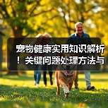 宠物健康实用知识解析！关键问题处理方法与维护要点